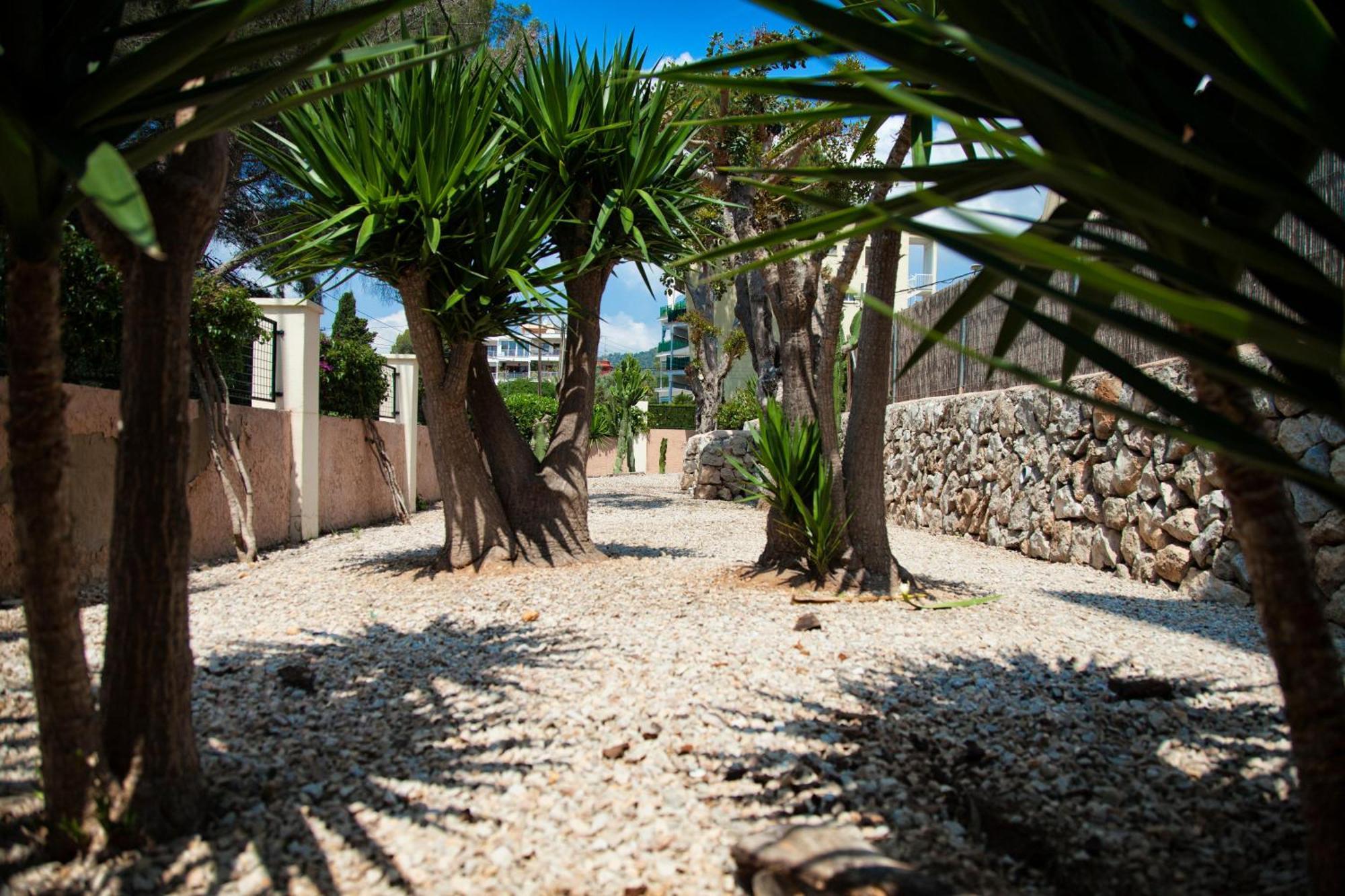 Naika Studios & Apartments Palma Nova  Luaran gambar